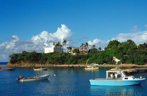 Florida Apartment | Oceanview Apartment with Garden Access