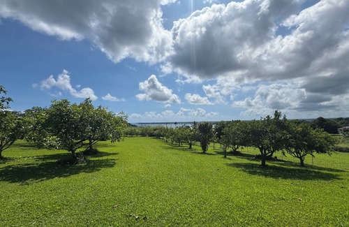 Wainaku Apartment | Oceanview spacious 1-bdrm apartment w/AC, 2 miles to downtown on country acreage