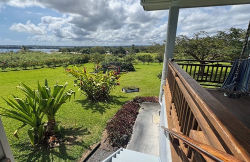 Wainaku Apartment | Oceanview spacious 1-bdrm apartment w/AC, 2 miles to downtown on country acreage