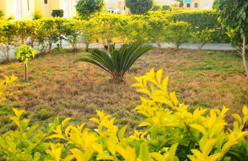 Gonaives Apartment | Odivin Hotel Luxury Suite