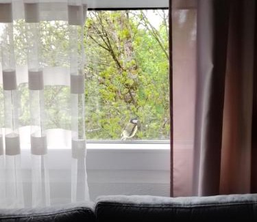 Pluzine House | ODMOR PRESEKA - REST HOUSE PRESEKA