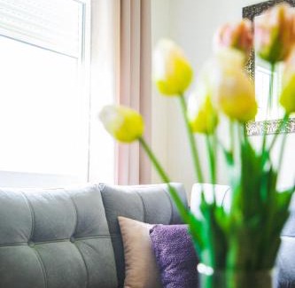 Pluzine House | ODMOR PRESEKA - REST HOUSE PRESEKA