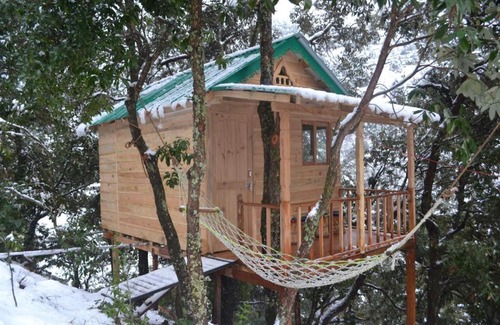 Kaul House | Odyssey Stays Mukteshwar - 300 Metres Trek
