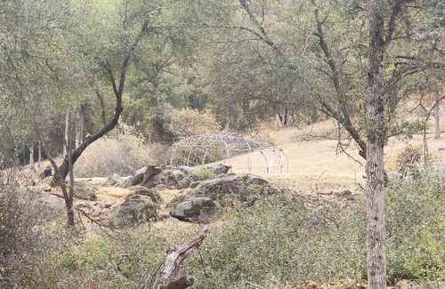 Squaw Valley Cabin | Off-Grid 1-Bed Cabin in Yokuts Valley