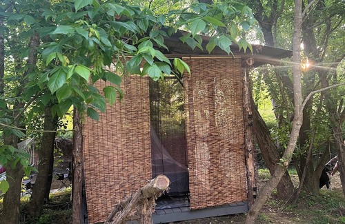Greeneville House | Off-grid creekside treehouse w/fire-pit, hammock