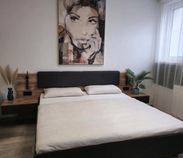Ramstein-Miesenbach Apartment | Offbase Lodging No8