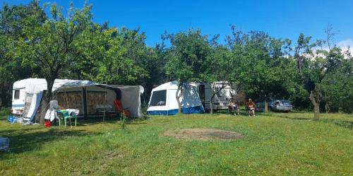 Predeal Other | OffCamping Bobicesti - land for camping, with water source and without electricity -Doar teren pentru campare cu sursa de apa , fără electricitate ! Self check-in !