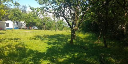 Predeal Other | OffCamping Bobicesti - land for camping, with water source and without electricity -Doar teren pentru campare cu sursa de apa , fără electricitate ! Self check-in !