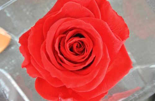 Matera House | Ofra Matera