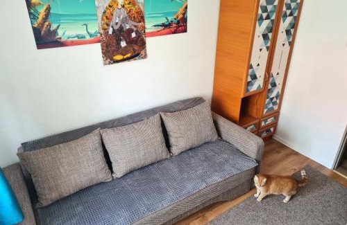 Miercurea-Ciuc Apartment | OG rooms