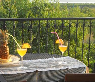 Bicine Apartment | Ogreca