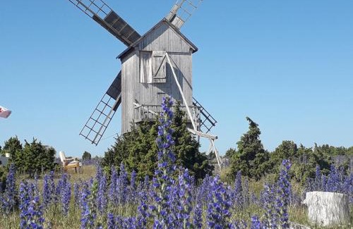 Saaremaa Cabin | Ohessaare Tuulik & Rannakohvik