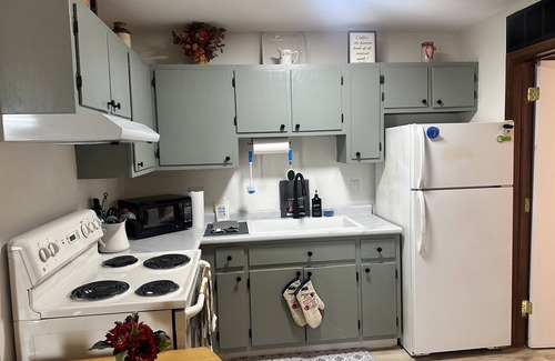 Springfield Apartment | Old Aristocracy Hill 1BR Quiet Apartment Downtown!