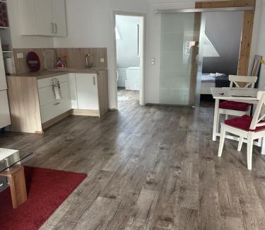 Heidelberg City Centre Apartment | Old Bridge View Apartment