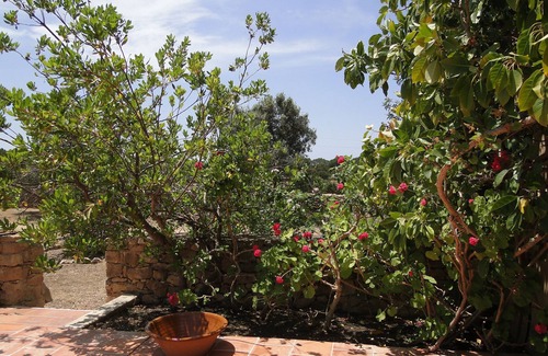 Formentera House | OLD Country House Recently Reformed