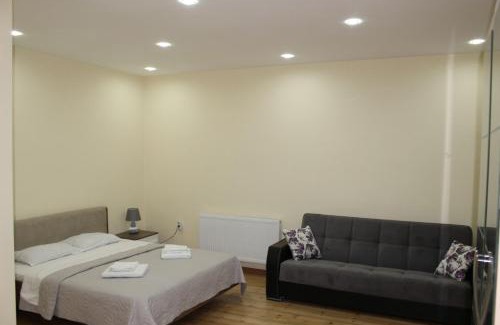 Mtskheta Apartment | Old house apartment with Garden area