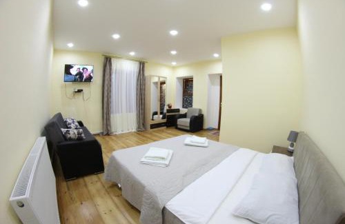 Mtskheta Apartment | Old house apartment with Garden area