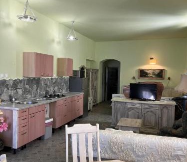 Ogulin Apartment | Old Lady