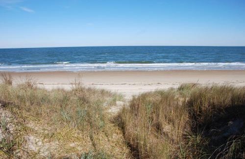 Cottage Line House | Old Time Beach Front Cottage - The Beach is your Backyard! Pet Friendly cottage