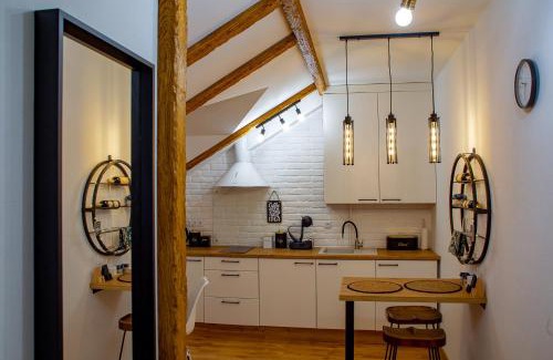 Kamenets-Podol'skiy Apartment | Old Town Loft Apartments
