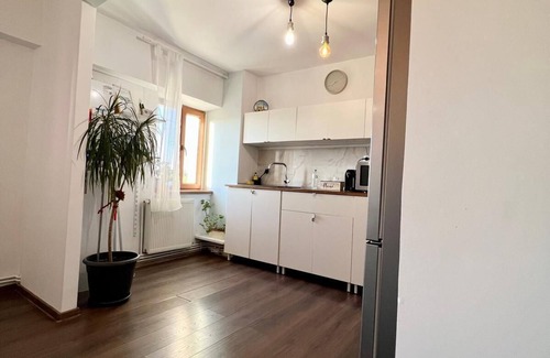 Targoviste Apartment | Old town view Central Apartment