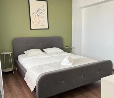 Targoviste Apartment | Old Town View- UltraCentral Apartment