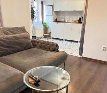Targoviste Apartment | Old Town View- UltraCentral Apartment