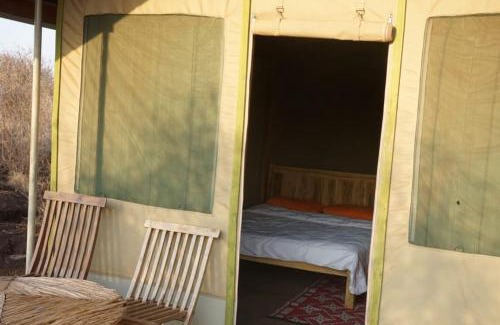 Kajiado County Other | Oldonyo Musa Camp Amboseli