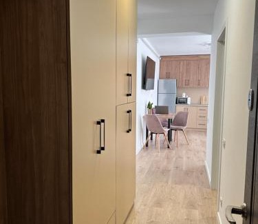 Baia Mare Apartment | OldTown Maramures Studio 1