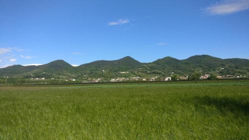 Maser House | Oleaclub Locazione Turistica