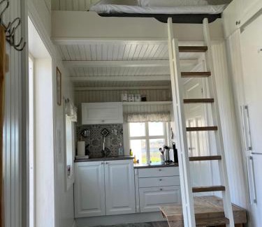 Hamnøya Villa | Olenilsøya Mini Villa