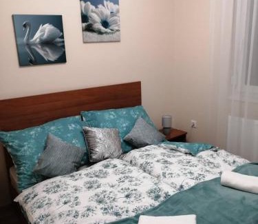 Szeged Apartment | Olga Apartman