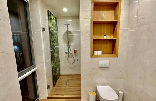 Satu Mare Apartment | Olimpia Residence Central