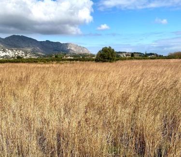 Benidoleig Villa | Olivae XALET