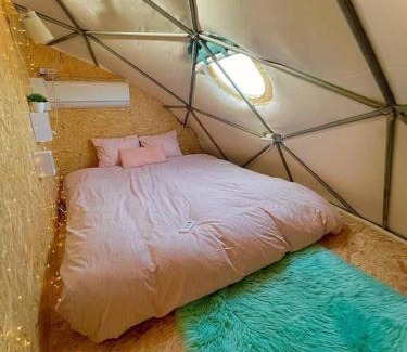 Yavne'el Other | Olive Dome - כיפה גיאודזית ענקית ומודרנית בין עצי הזית