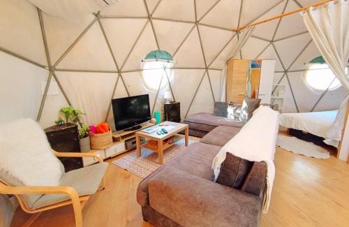 Yavne'el Other | Olive Dome - כיפה גיאודזית ענקית ומודרנית בין עצי הזית