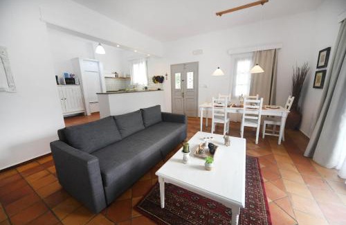 Panormos House | Olive garden house