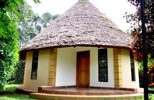 Bugolobi Hotel | Olive Gardens Hotel Kampala