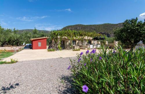 Kardamyli House | olive grove by the sea 30m from the beach