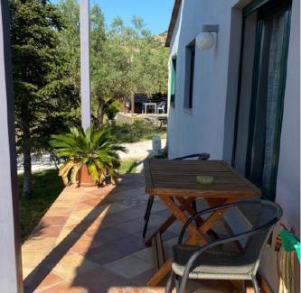 Metochi House | Olive Grove