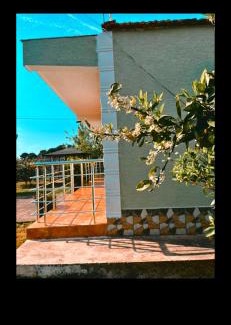 Rade House | OLIVE Home