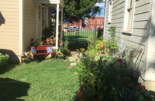 Tuscaloosa Apartment | Olive's Secret Garden ~ 12 Blocks From The Stadium