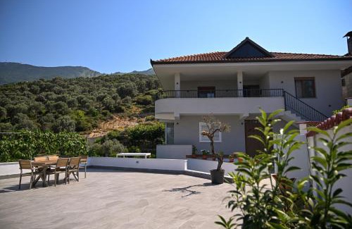 Dajt Apartment | Olive Tree