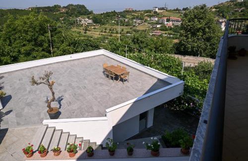 Dajt Apartment | Olive Tree