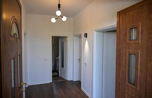 Dajt Apartment | Olive Tree