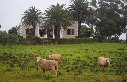 Moorreesburg House | Olive Tree Guesthouse