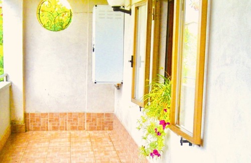 Torchiara Apartment | Olive tree room in the hills between orchards and olive groves between the sea and the National Park