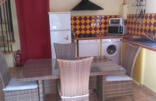 Cotignac Cottage | OLIVE TREES IN COTIGNAC (VAR)