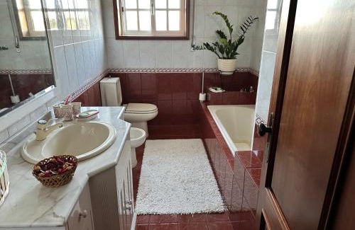 Santa Maria da Feira House | Oliveiras