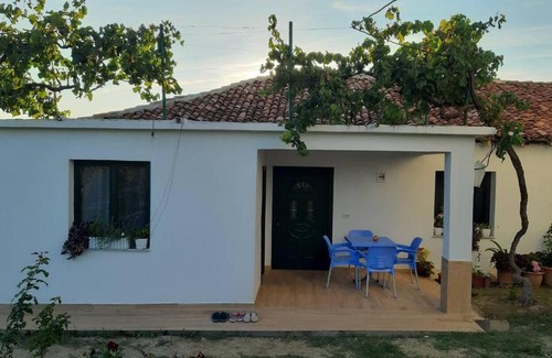 Elbasan House | Olives and Lemons Farmstay
